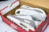 AIR MAX 90 PHOTON DUST LIGHT IRON ORE PHOTON DUST/LIGHT IRON ORE/SAIL/PHOTON DUST
