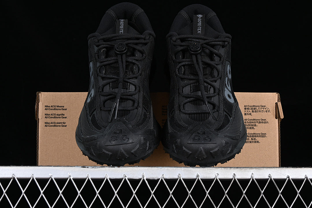 ACG MOUNTAIN FLY 2 LOW GTX SE BLACK