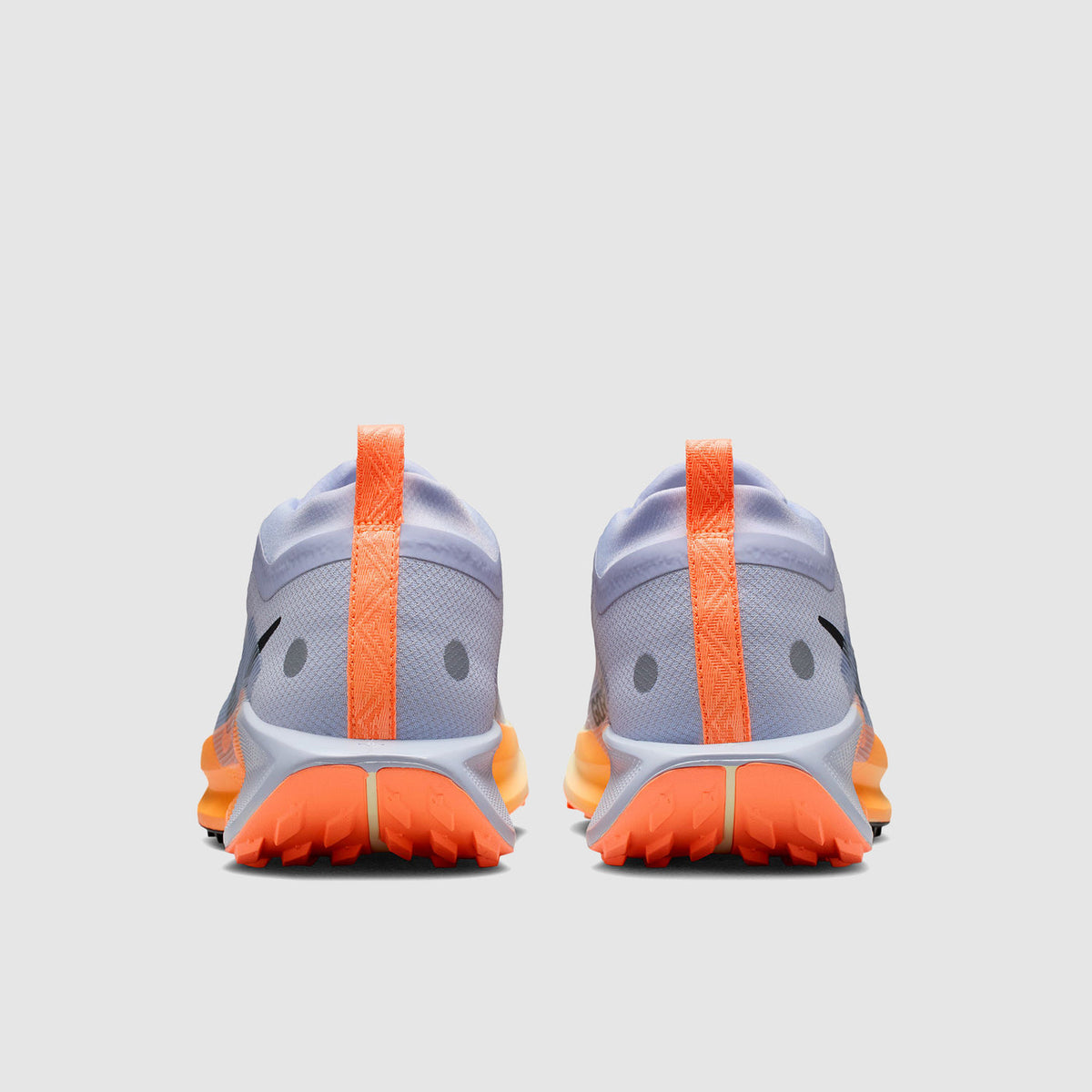Nike Pegasus Trail 5 GORE-TEX