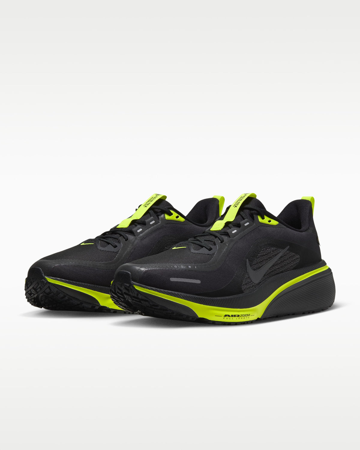 Nike Pegasus 42 GORE-TEX