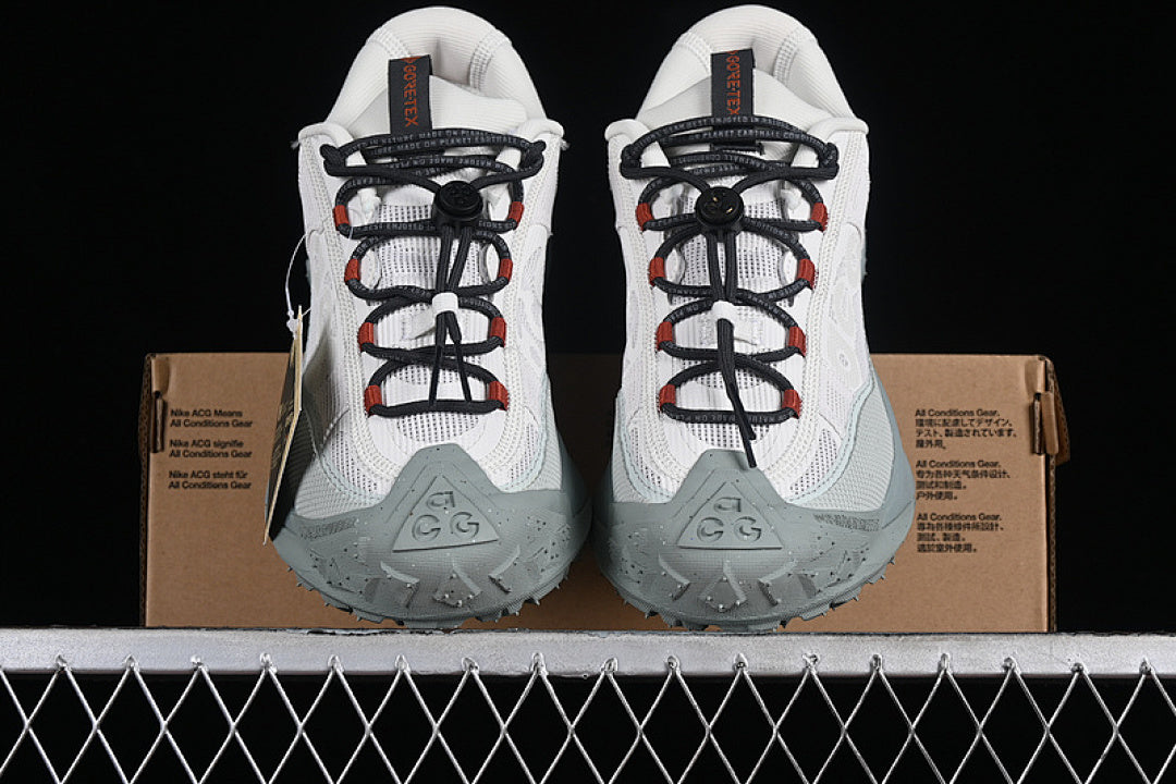 ACG MOUNTAIN FLY 2 LOW GTX SE PHANTOM/LIGHT SILVER/MICA GREEN/DARK SMOKE GREY