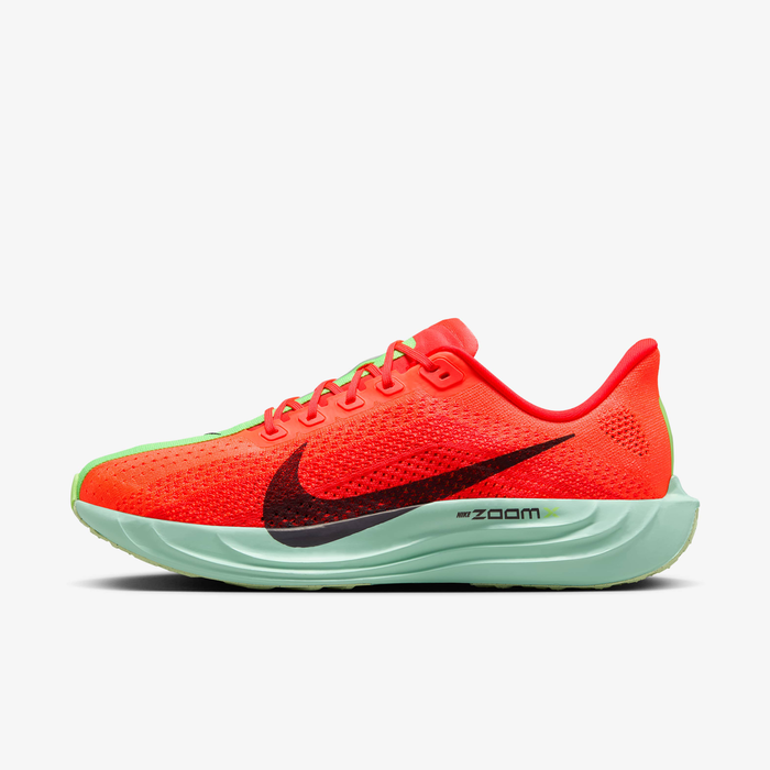 Nike Pegasus Plus