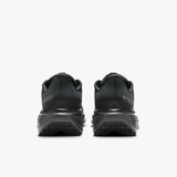 Nike Pegasus 41 GORE-TEX