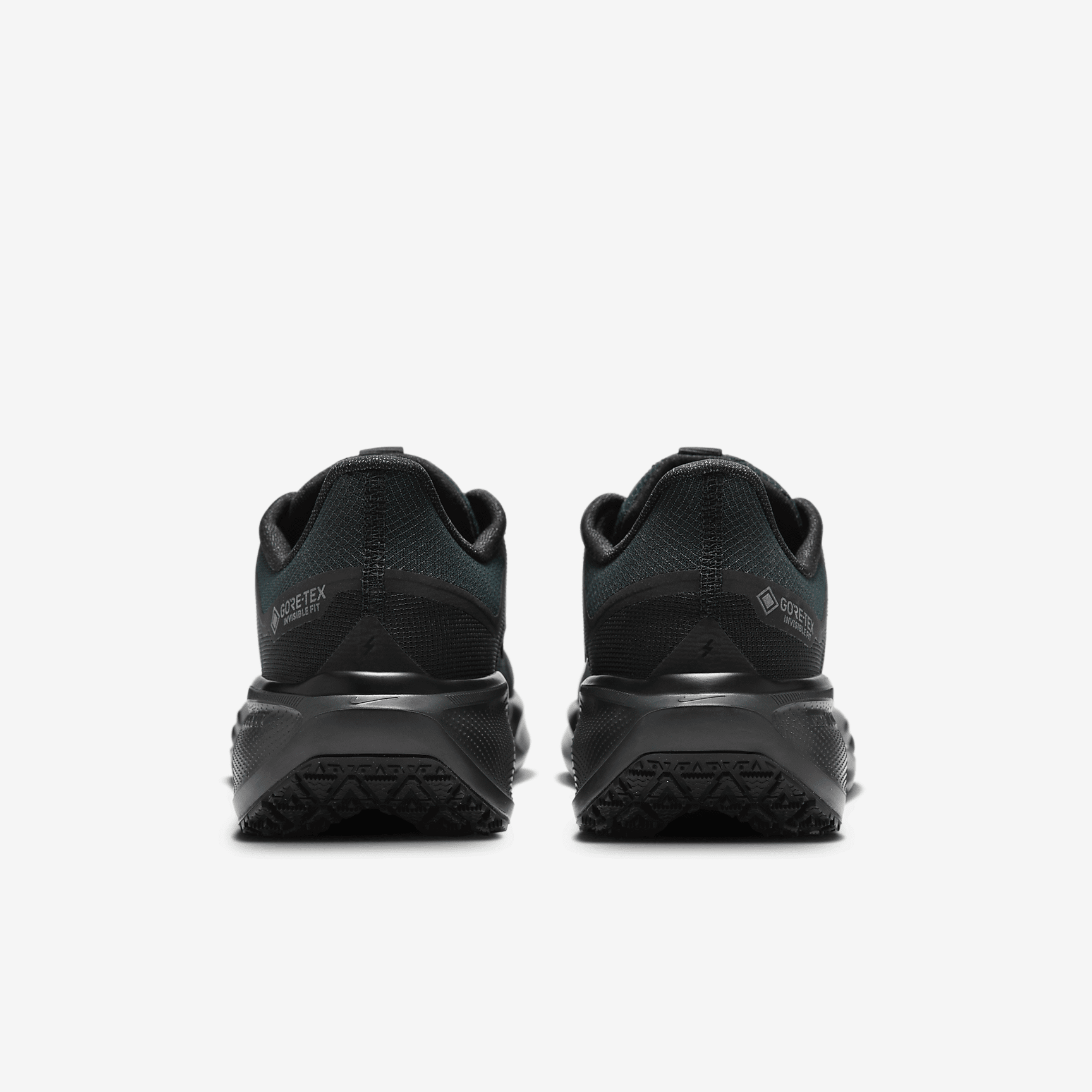 Nike Pegasus 41 GORE-TEX