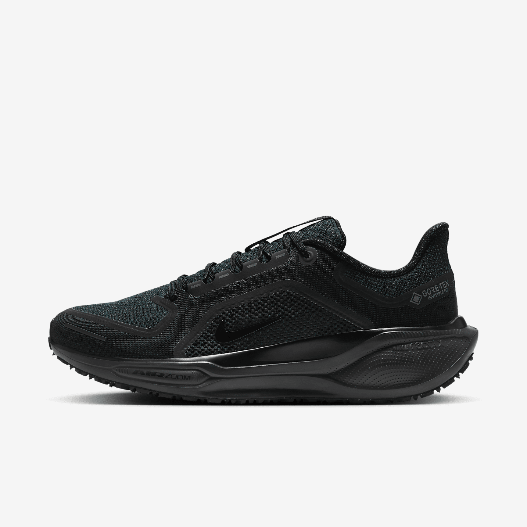 Nike Pegasus 41 GORE-TEX