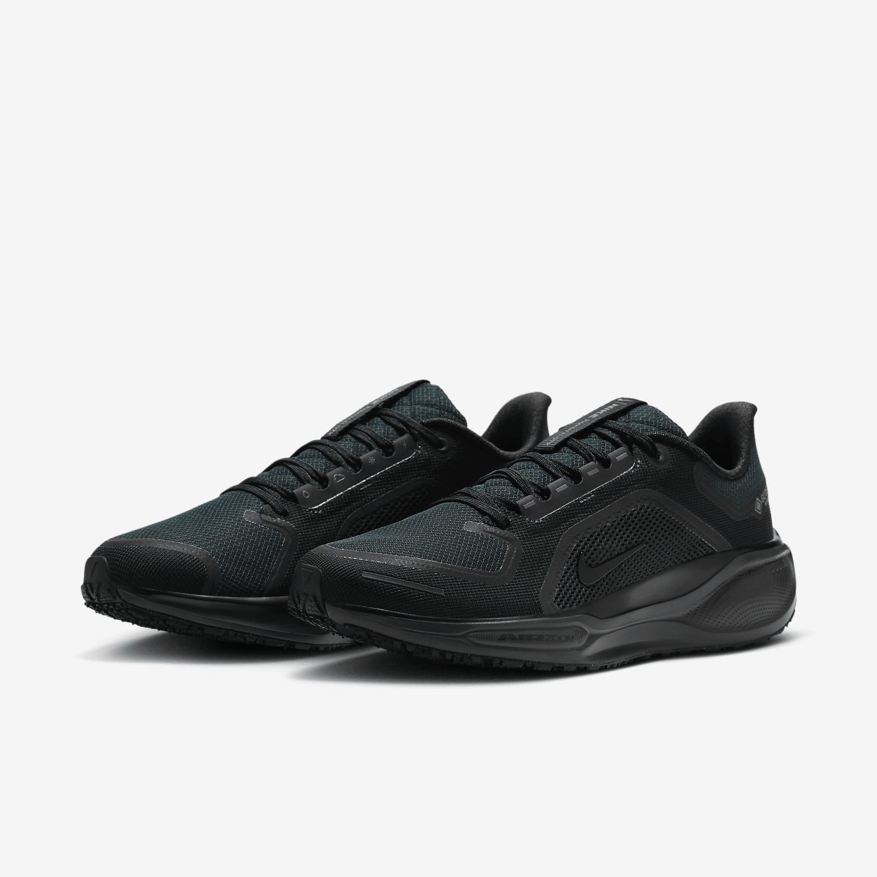 Nike Pegasus 41 GORE-TEX