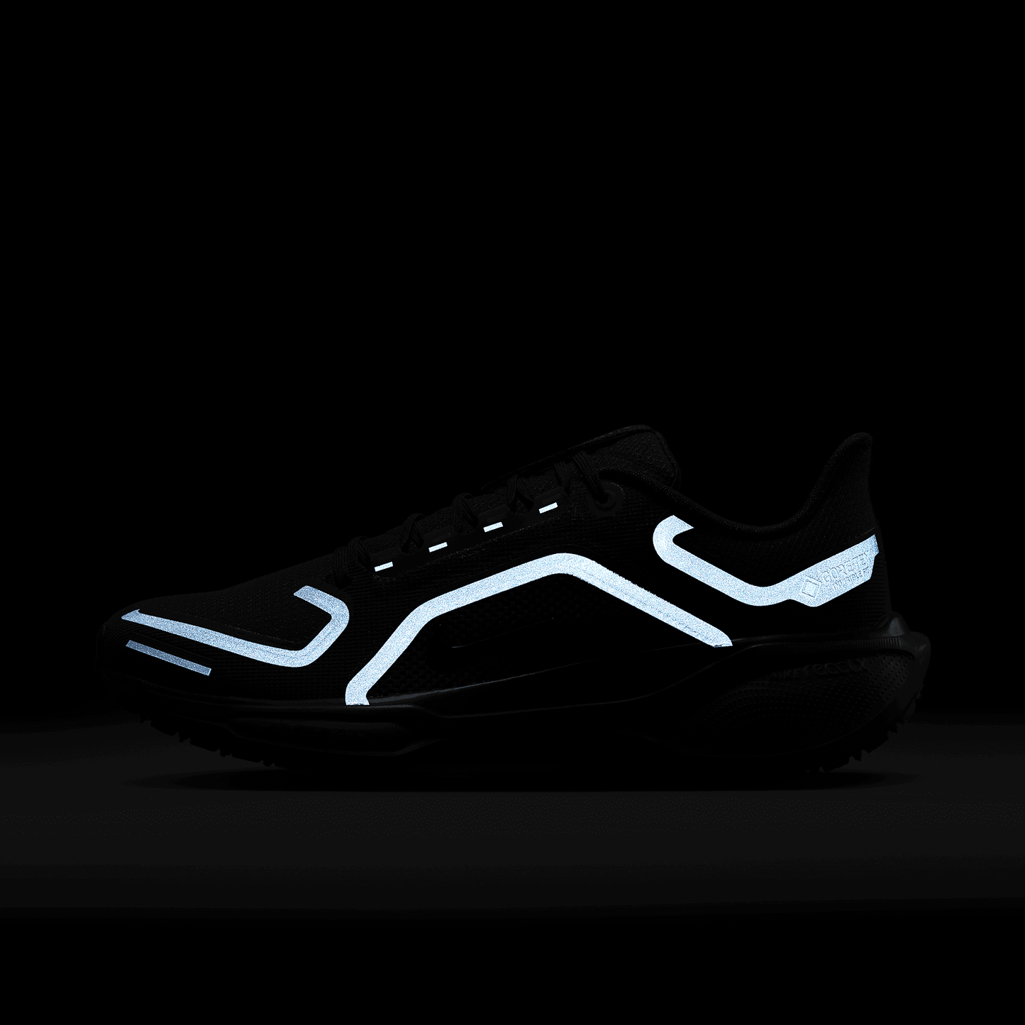 Nike Pegasus 41 GORE-TEX