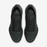 Nike Pegasus 41 GORE-TEX