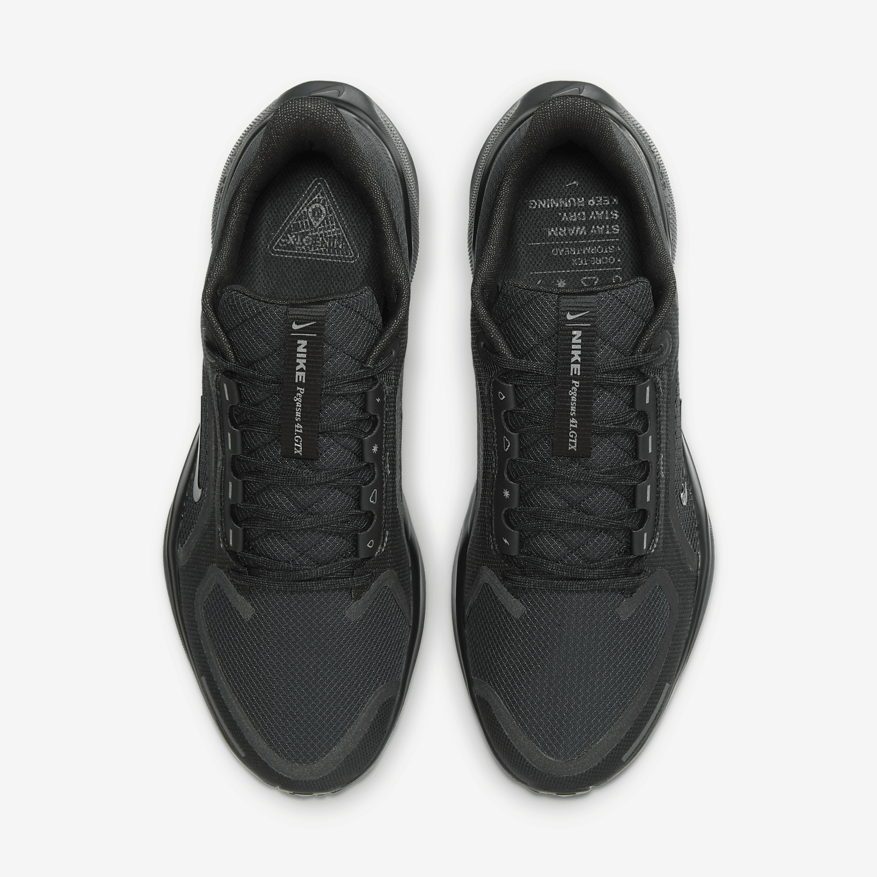 Nike Pegasus 41 GORE-TEX
