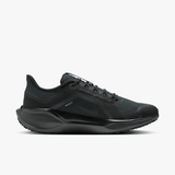 Nike Pegasus 41 GORE-TEX