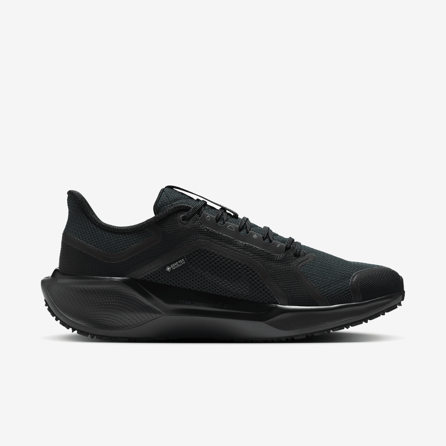 Nike Pegasus 41 GORE-TEX