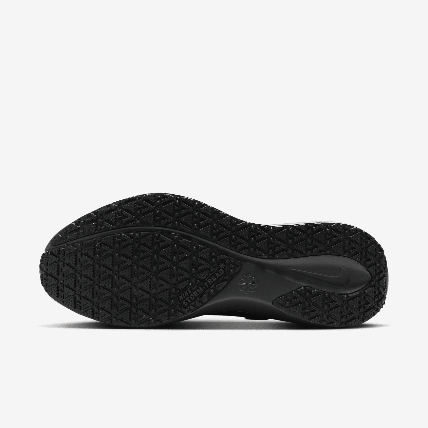 Nike Pegasus 41 GORE-TEX