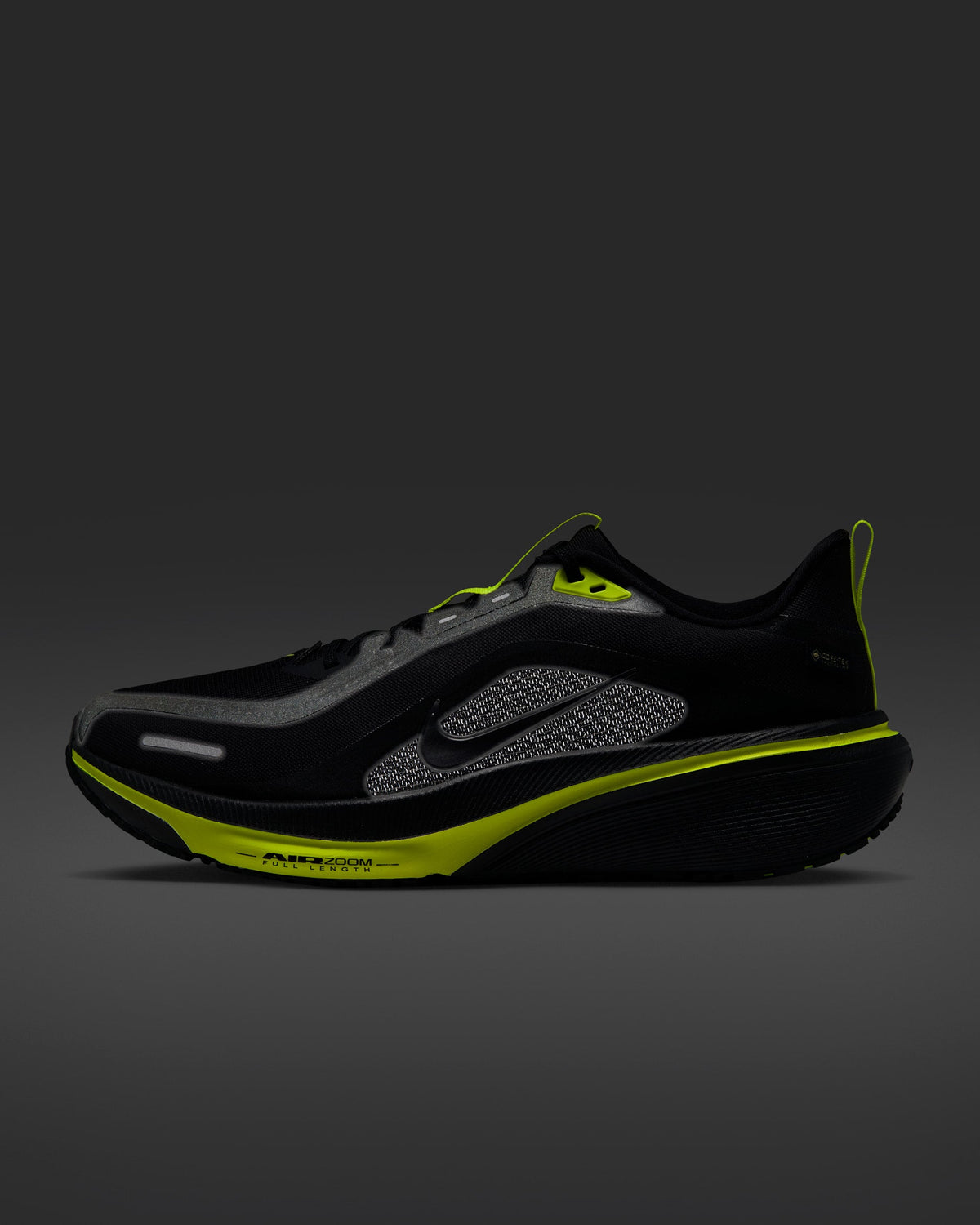 Nike Pegasus 42 GORE-TEX