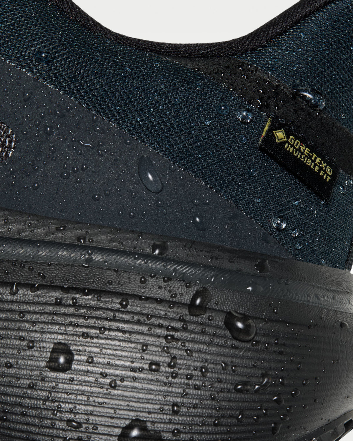 Nike Pegasus 42 GORE-TEX