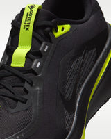 Nike Pegasus 42 GORE-TEX