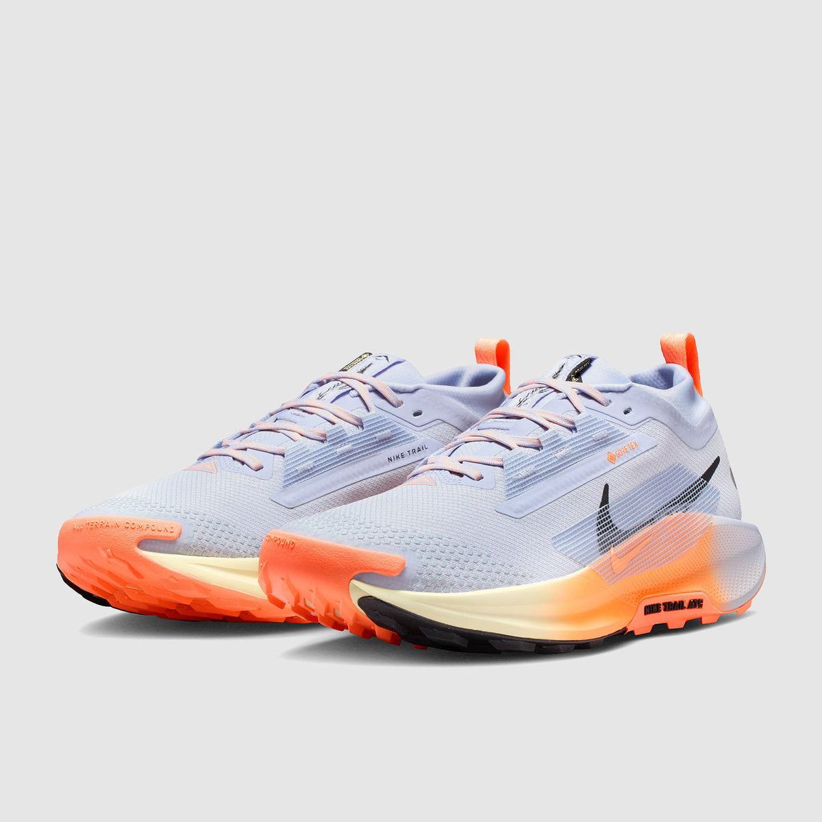 Nike Pegasus Trail 5 GORE-TEX