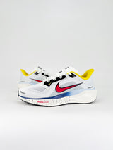 Nike Air Zoom Pegasus