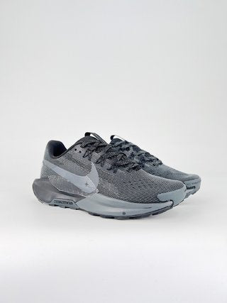 Nike Pegasus Trail 5
