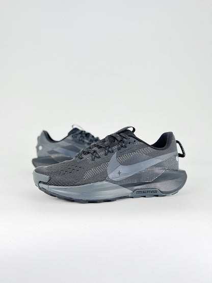 Nike Pegasus Trail 5