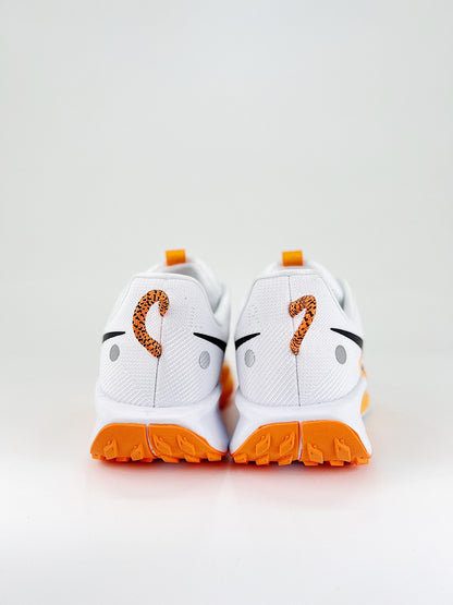 Nike Pegasus Trail 5