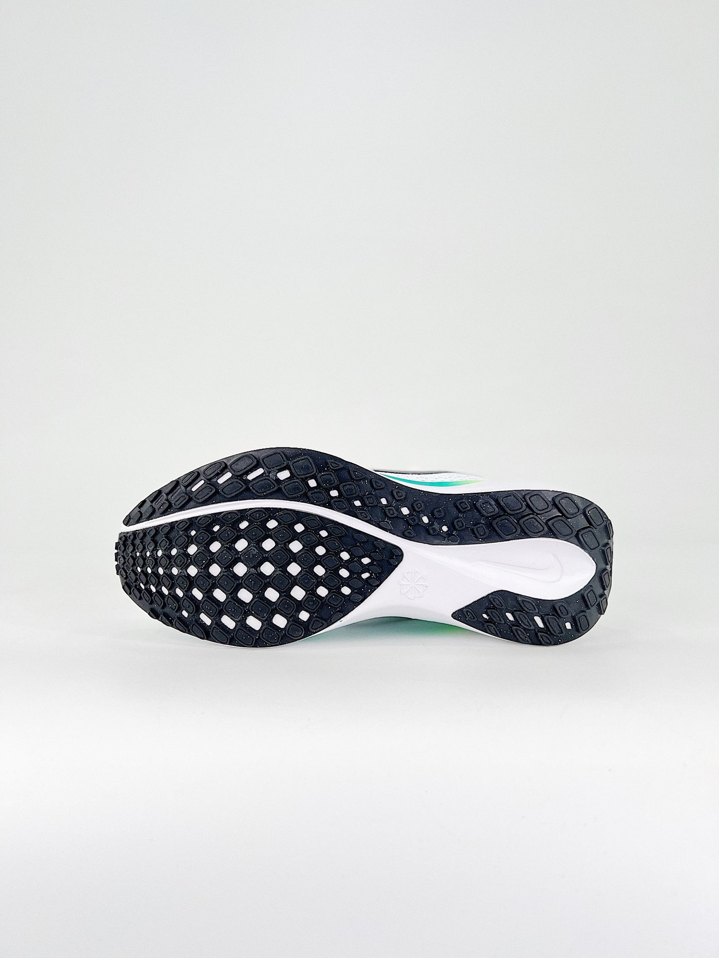 Nike Air Zoom Pegasus 41