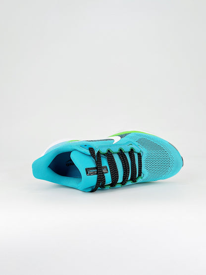 Nike Air Zoom Pegasus 41