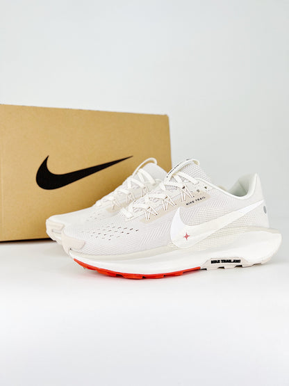 Nike Pegasus Trail 5