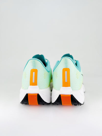Nike Flex Plus Pegasus Plus