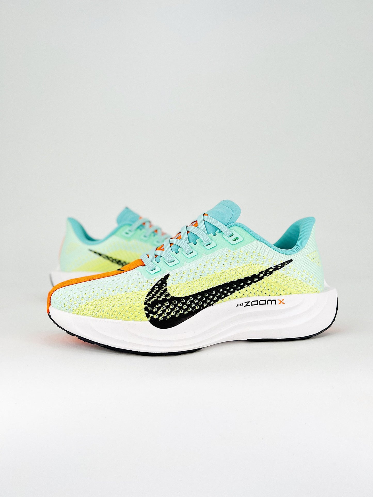 Nike Flex Plus Pegasus Plus