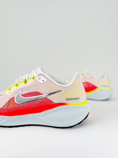 Nk Air Zoom Pegasus 41