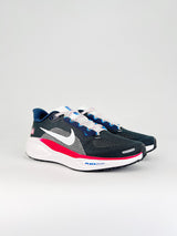 Nk Air Zoom Pegasus 41
