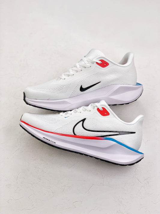Nk Air Zoom Pegasus 41