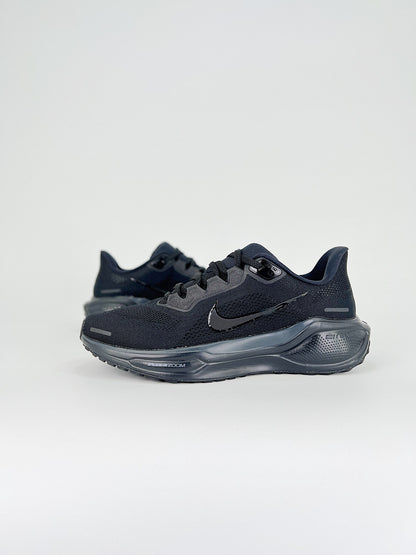 Nk Air Zoom Pegasus 41