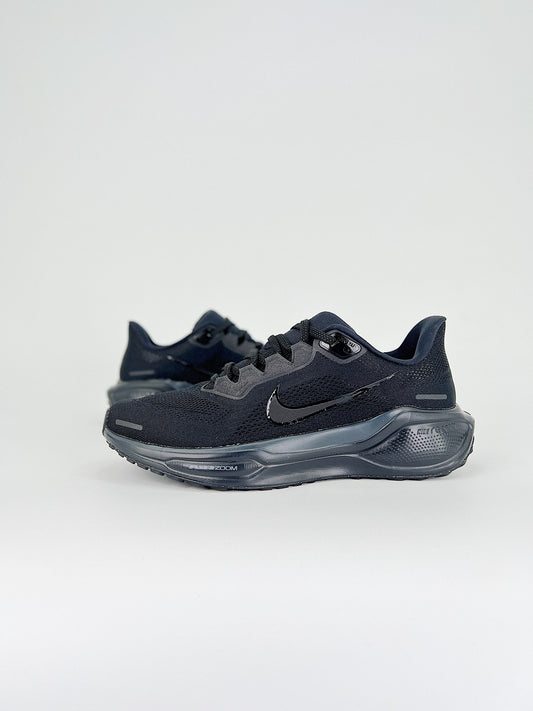 Nk Air Zoom Pegasus 41