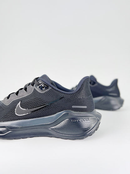 Nk Air Zoom Pegasus 41
