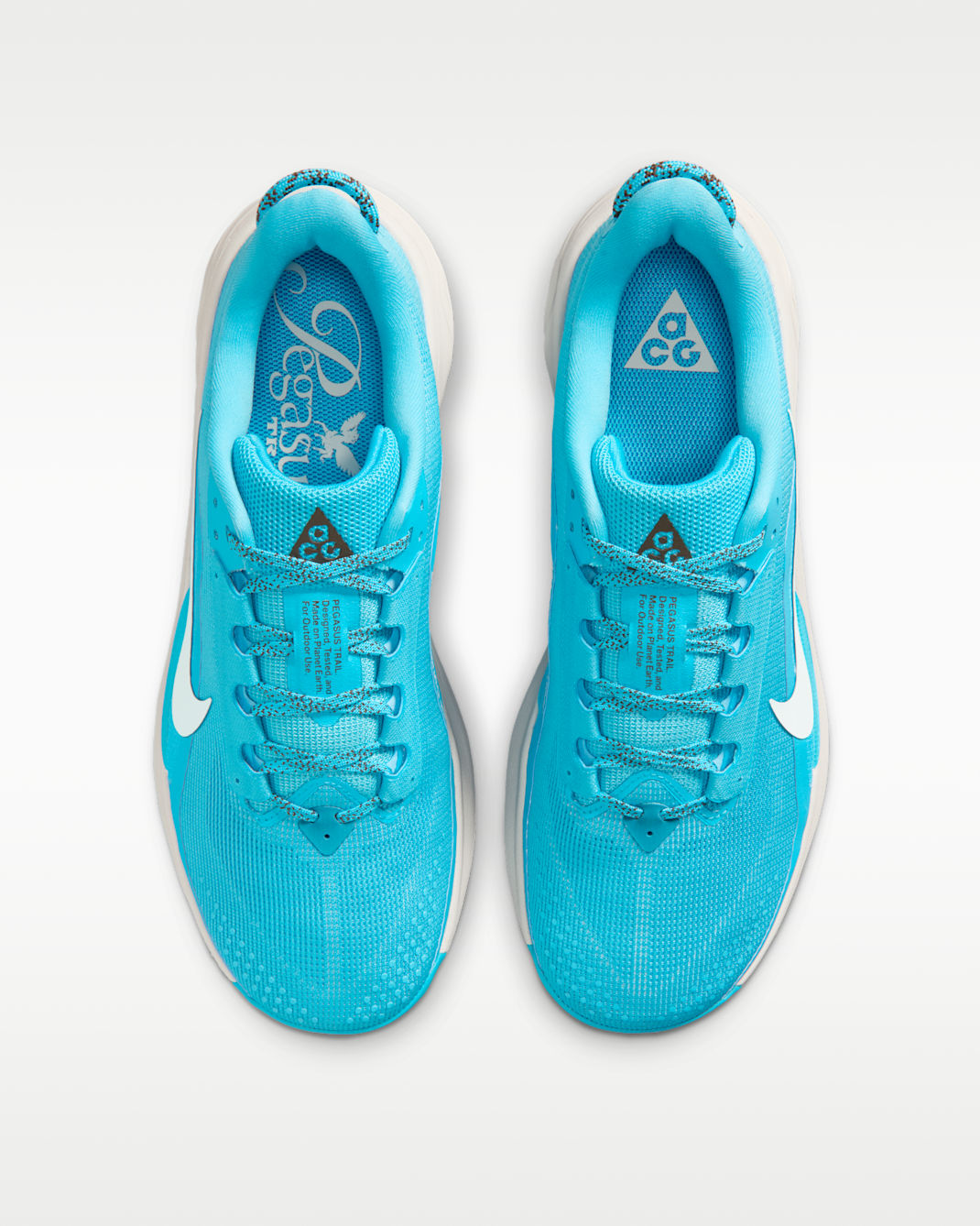 Nike ACG Pegasus Trail
