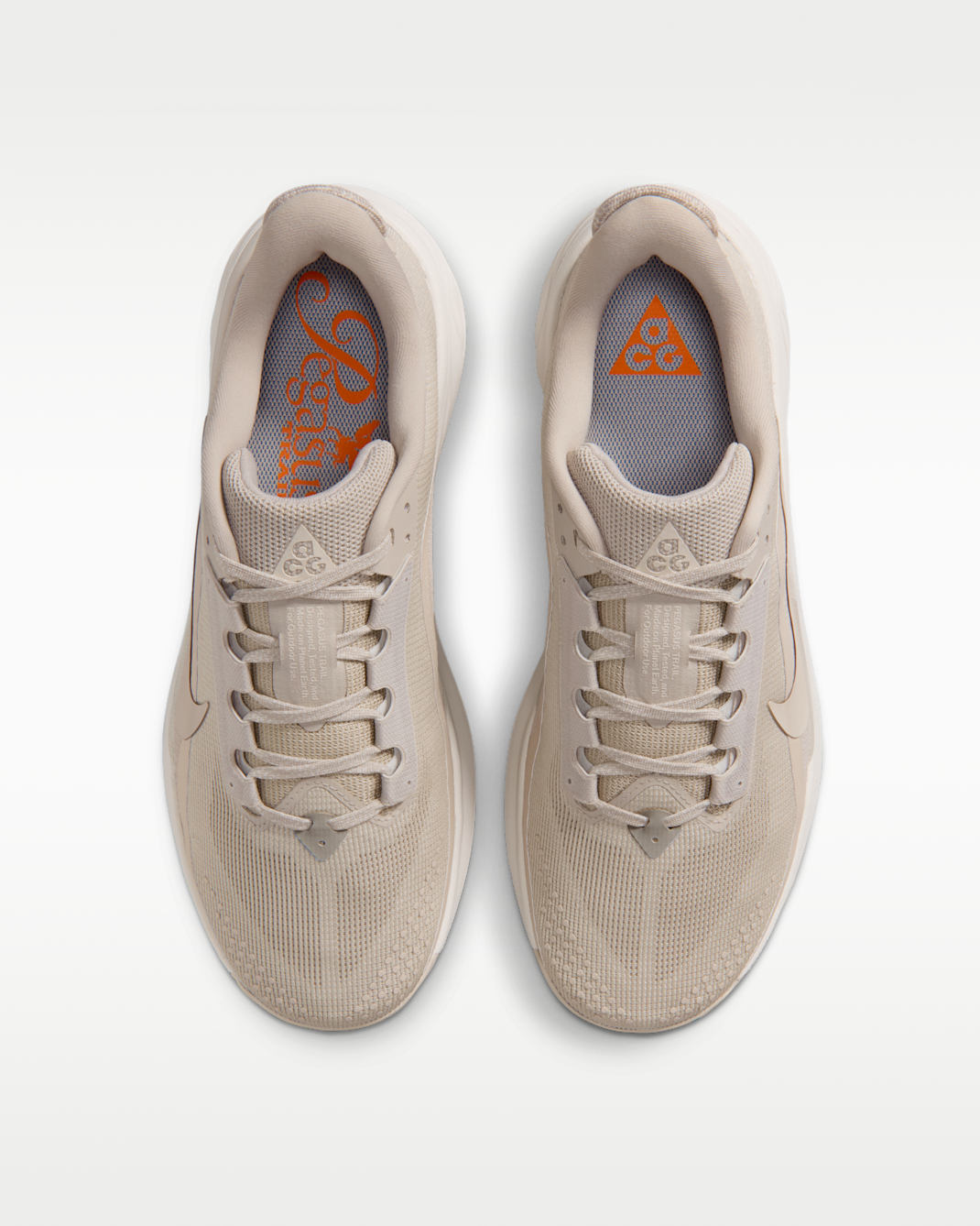 Nike ACG Pegasus Trail