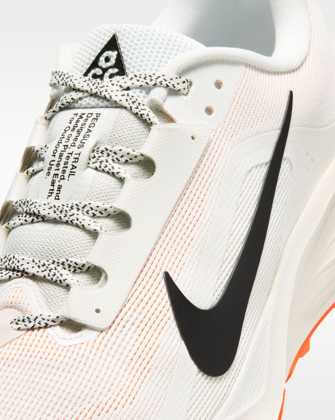 Nike ACG Pegasus Trail