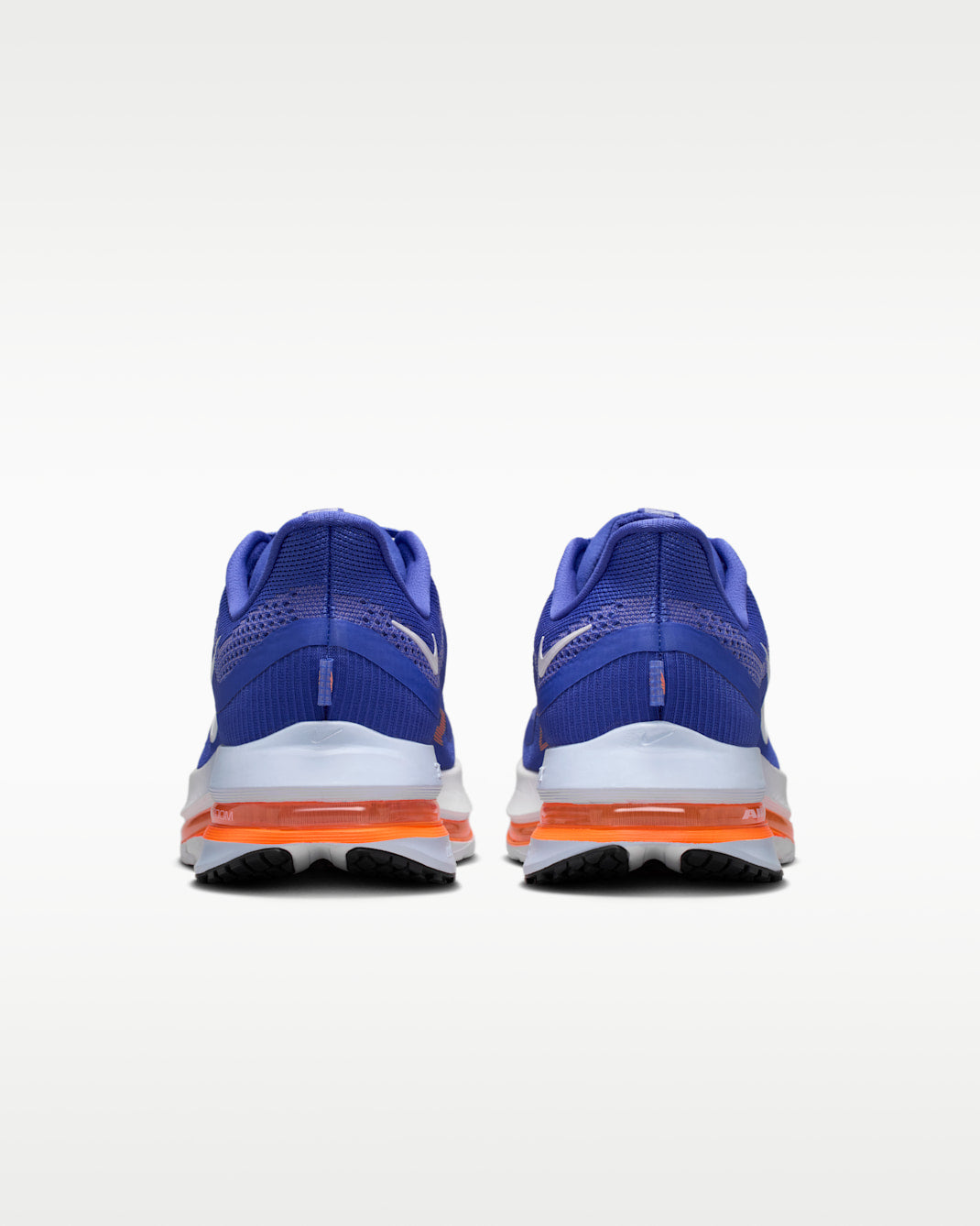 Nike Pegasus Premium