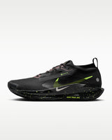 Nike Pegasus Trail 5 GORE-TEX