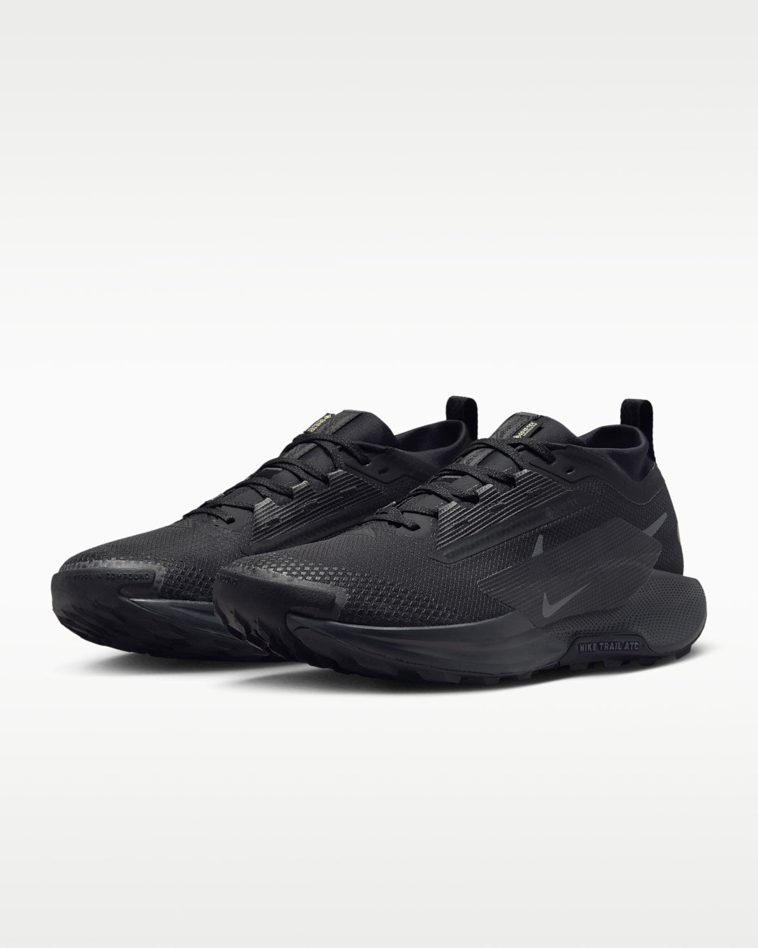 Nike Pegasus Trail 5 GORE-TEX