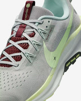 Nike Pegasus Trail 5