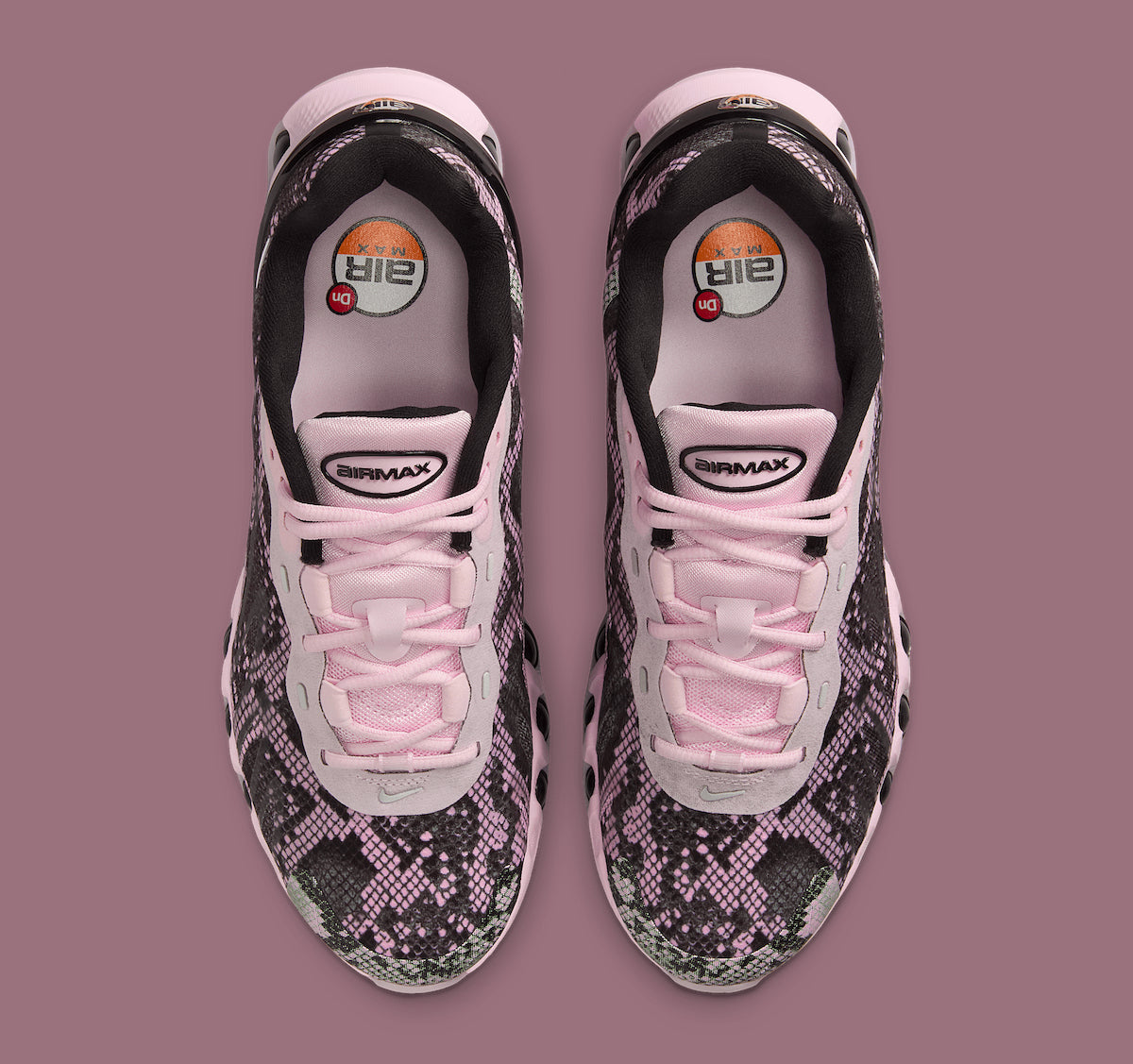 Nike Air Max DN8