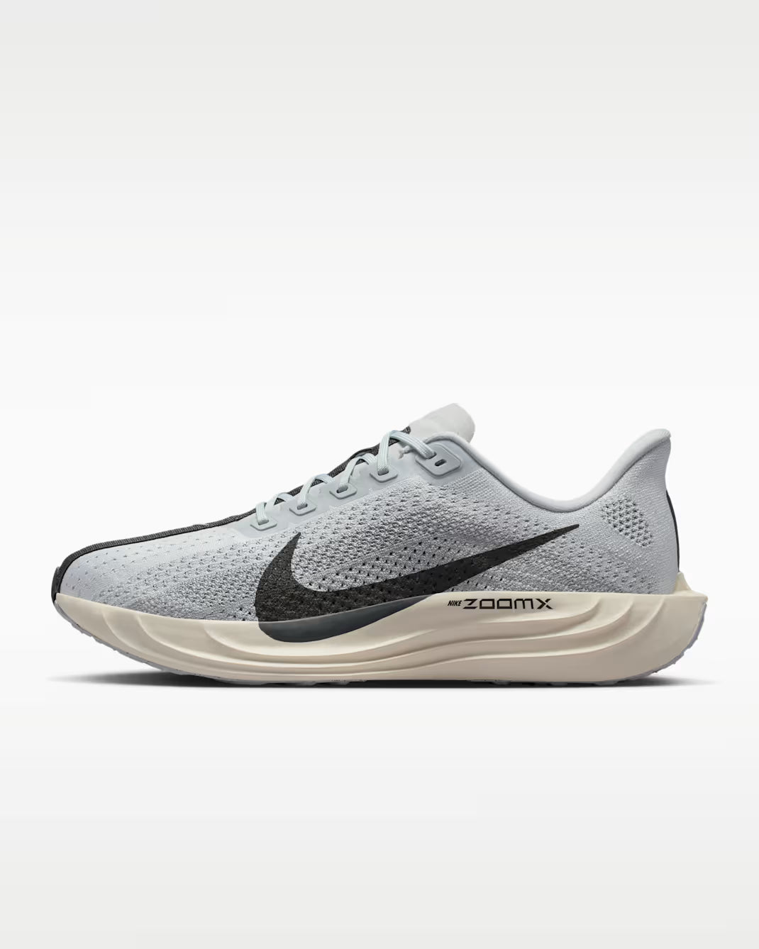 Nike Pegasus Plus