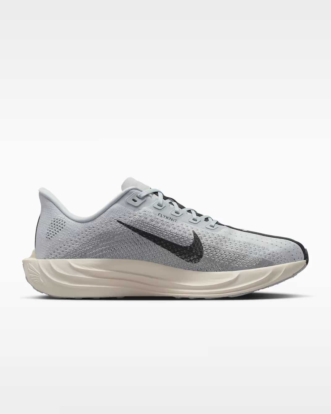 Nike Pegasus Plus