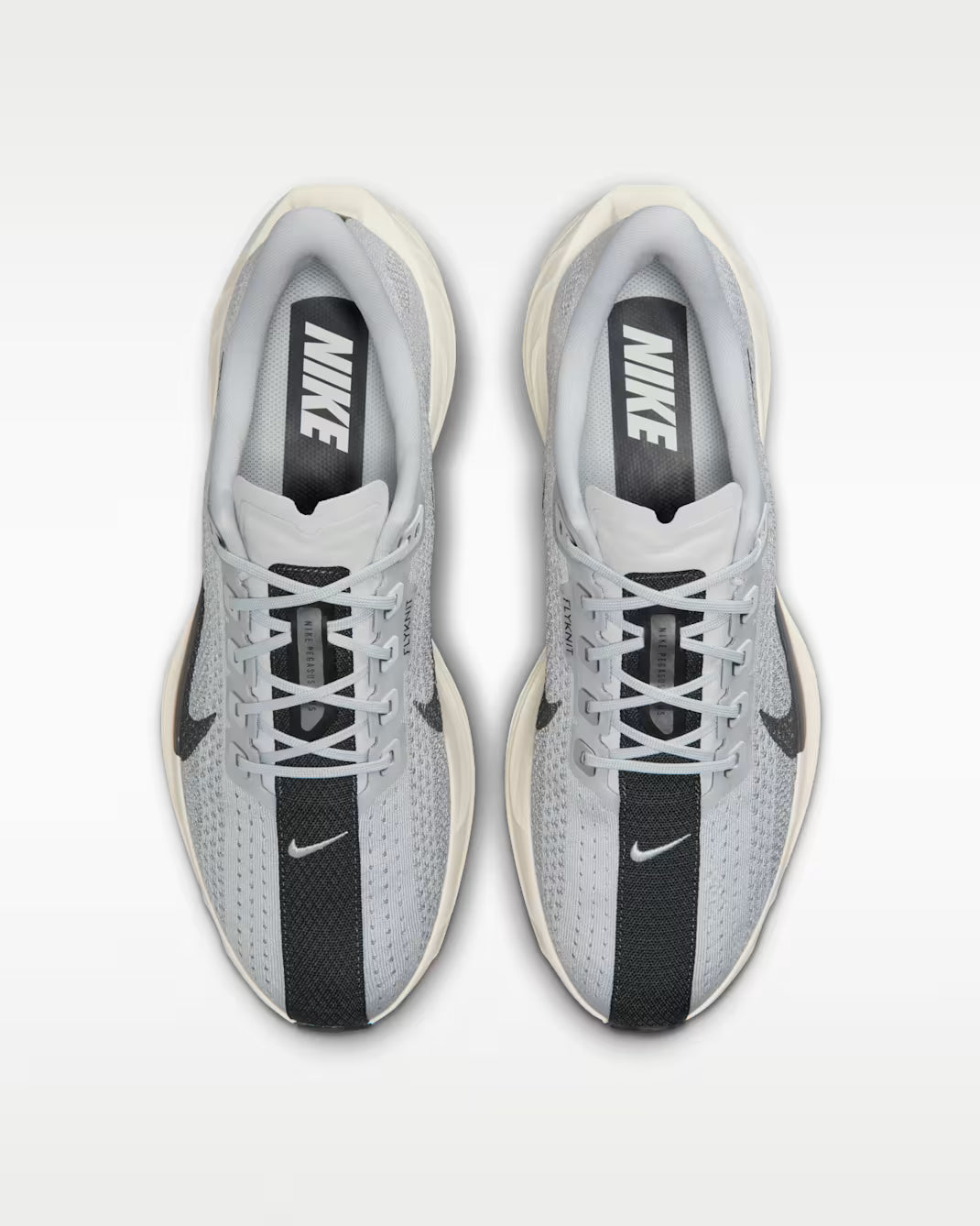 Nike Pegasus Plus