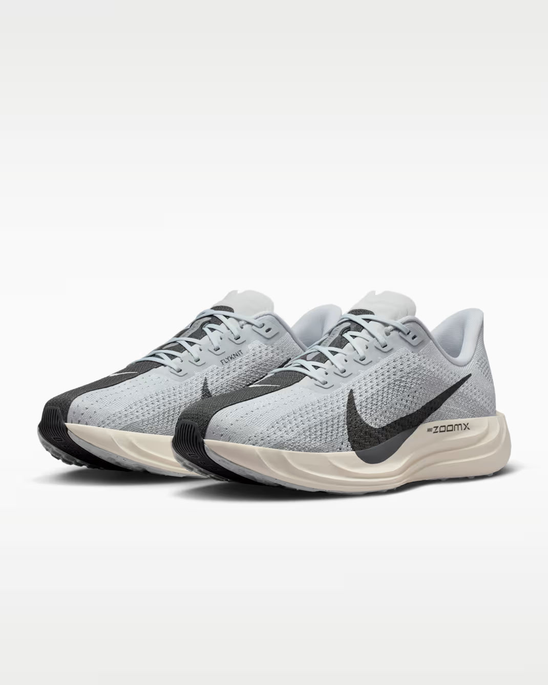 Nike Pegasus Plus