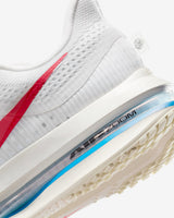 Nike Pegasus Premium