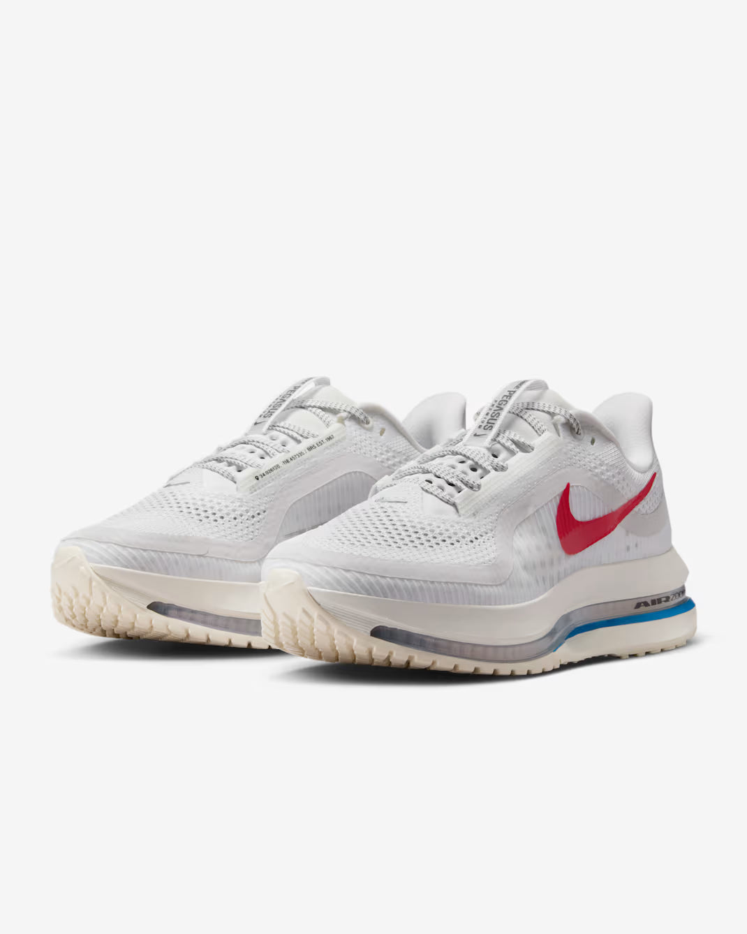 Nike Pegasus Premium