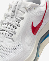 Nike Pegasus Premium